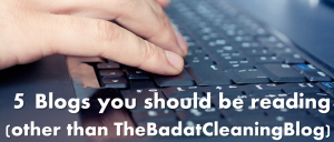 5 blogs you should be reading (other than TheBadatCleaningBlog)